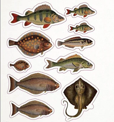 ספר מדבקות The Seashore Sticker Anthology – תמונה 3