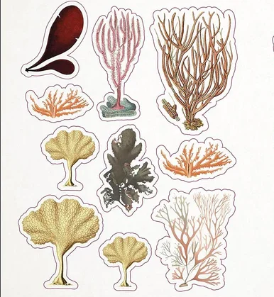 ספר מדבקות The Seashore Sticker Anthology – תמונה 5