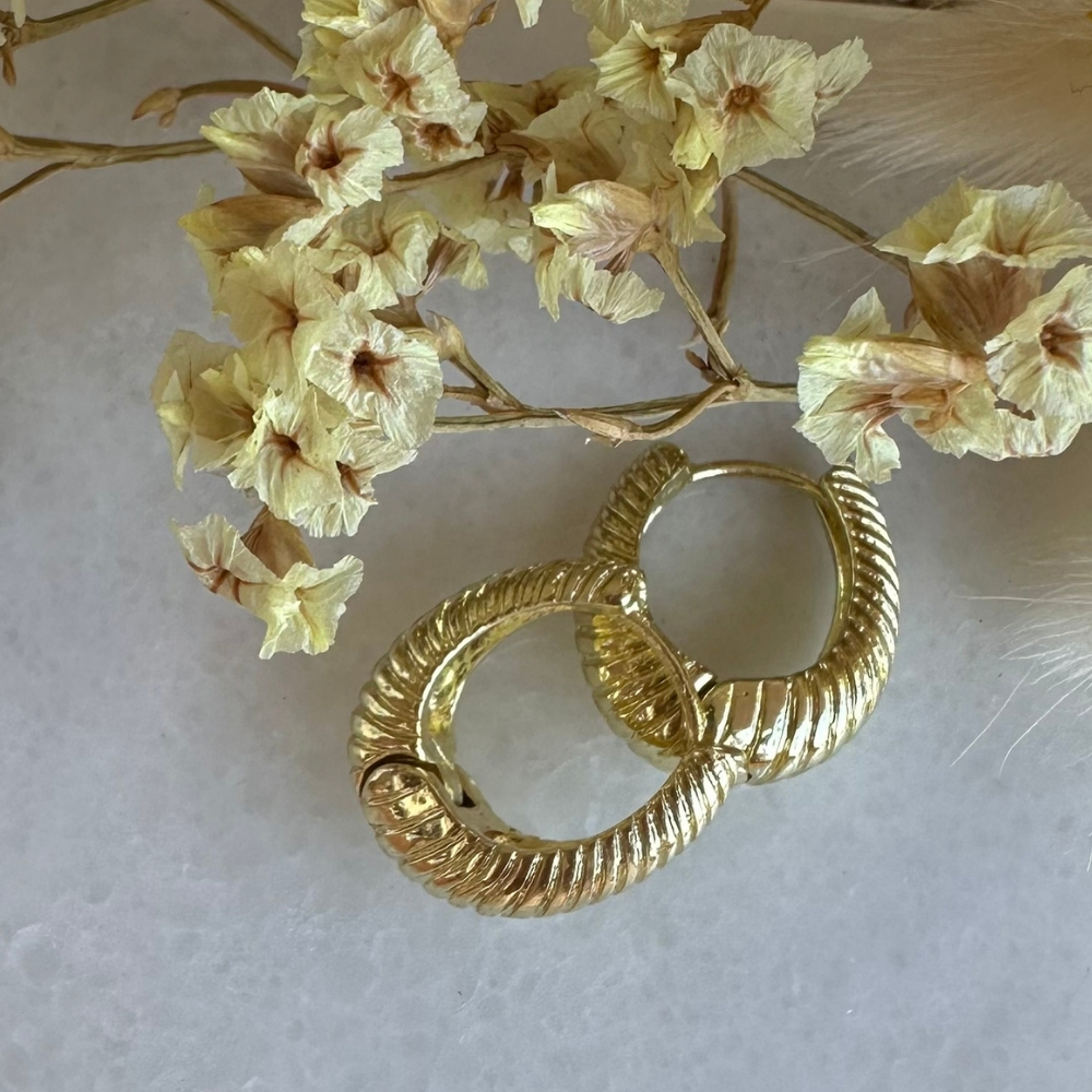 עגילי חישוק צדף מיני זהב