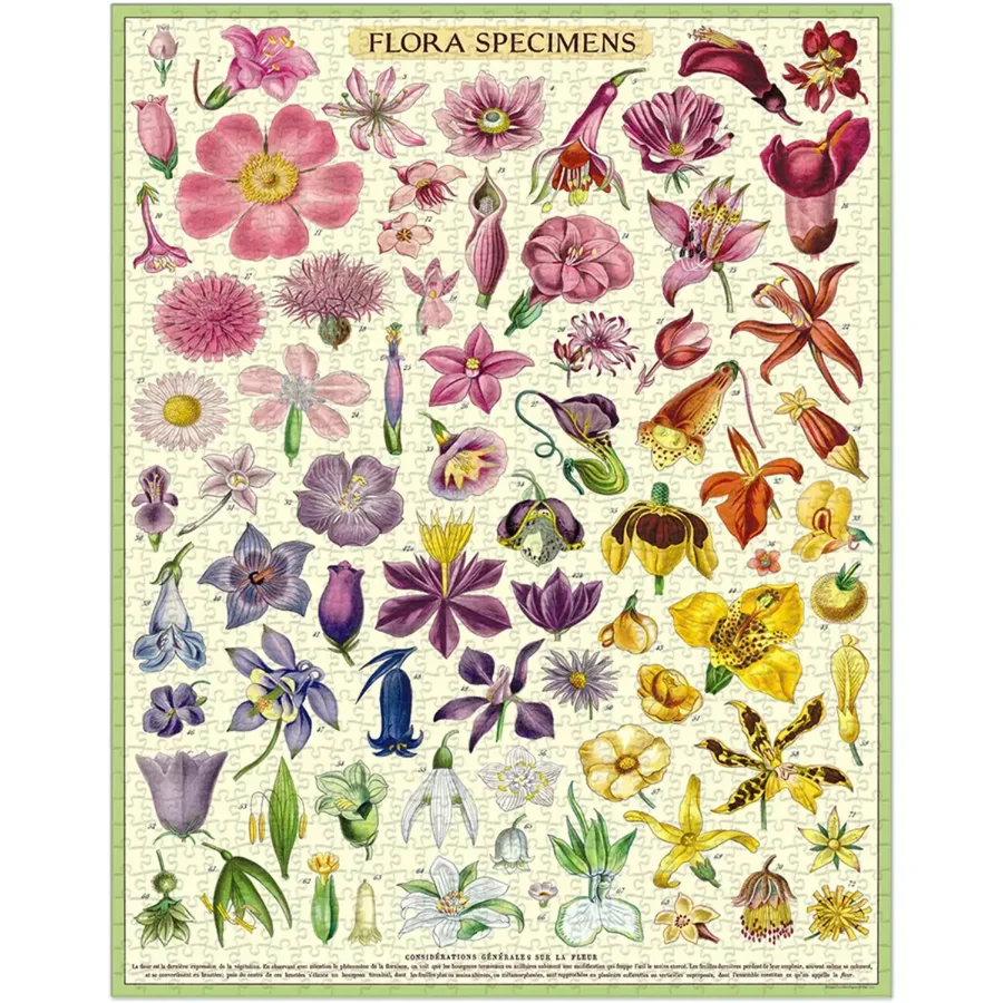 פאזל 1000 חלקים: Flora Specimens