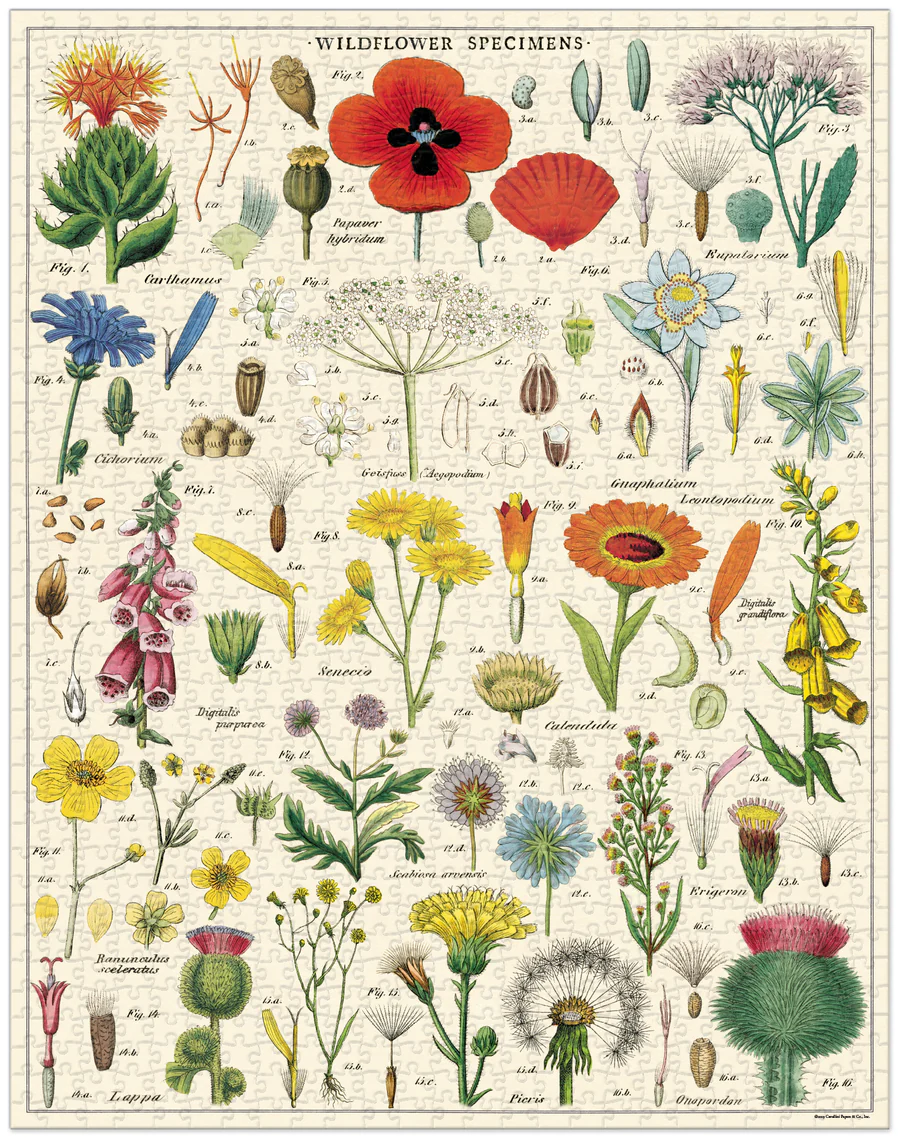 פאזל 1000 חלקים: Wildflowers