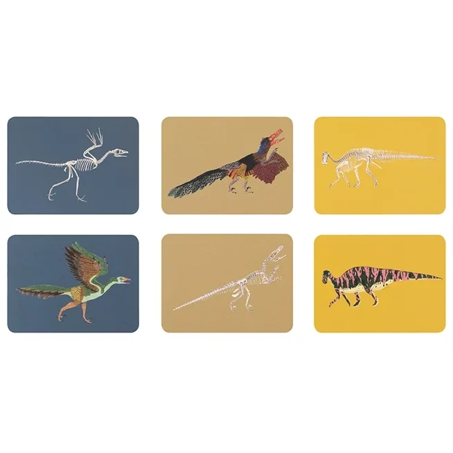 משחק זיכרון Match these Bones