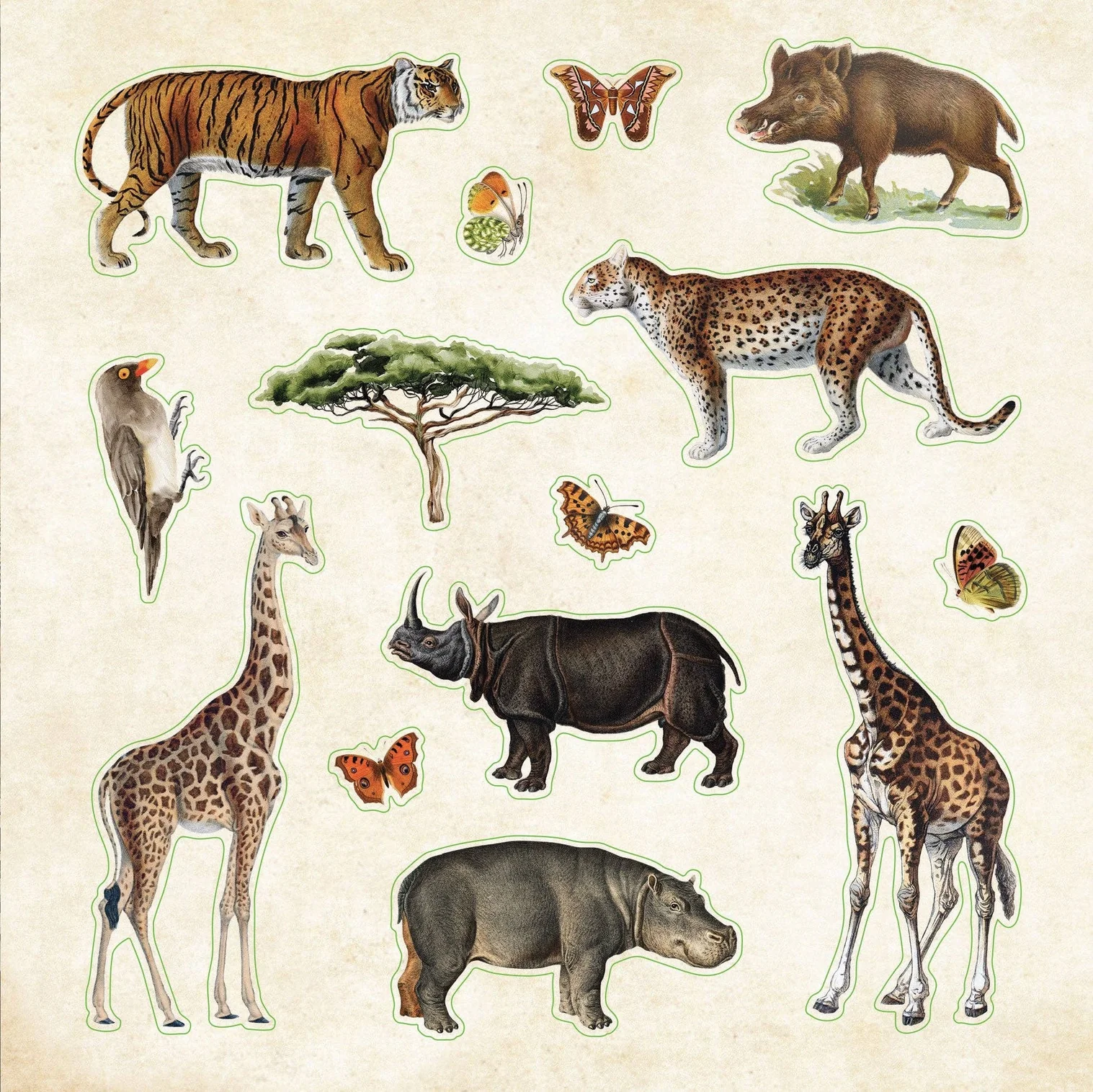 חוברת מדבקות Zoological Ephemera – תמונה 3