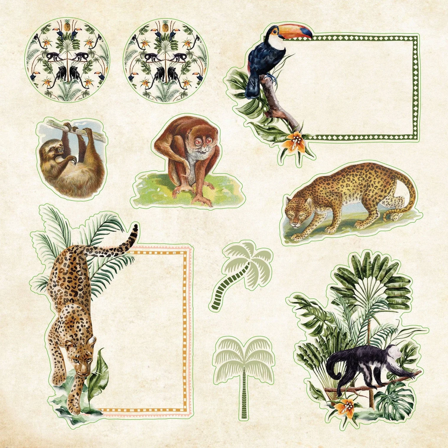 חוברת מדבקות Zoological Ephemera – תמונה 4